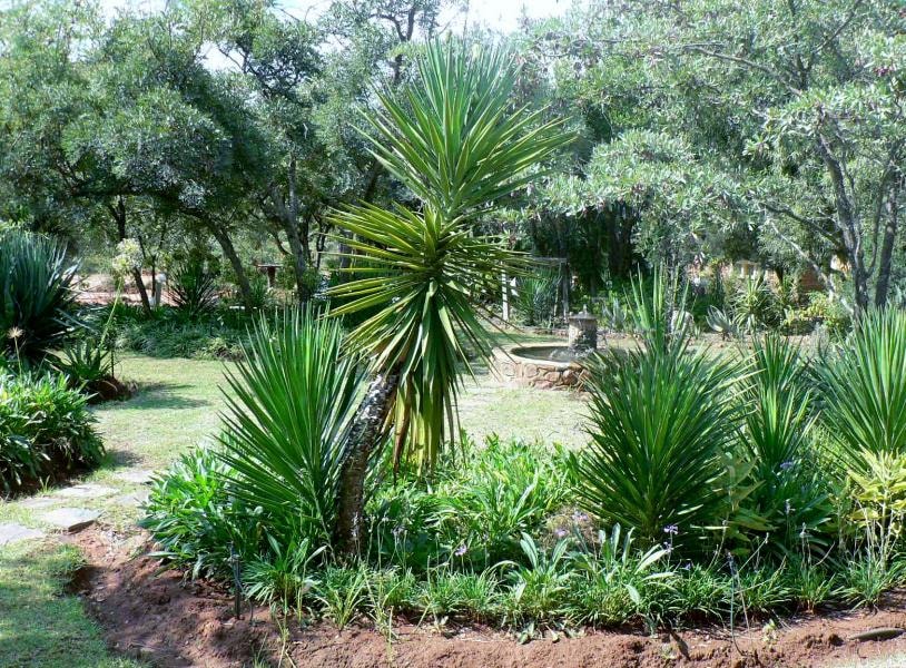 Smallholding for sale in Rustenburg - 1RU1129735