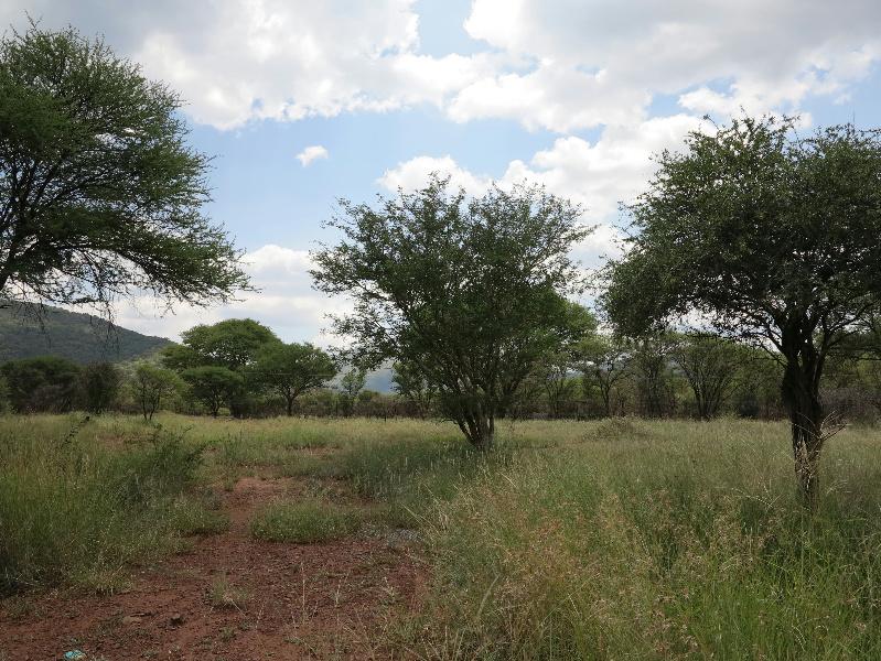 Residential vacant land for sale in Thabazimbi - 1ER1134637
