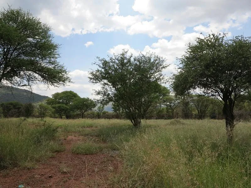 Residential vacant land for sale in Thabazimbi - 1ER1134637 Residential vacant land for sale in Thabazimbi - 1ER1134637