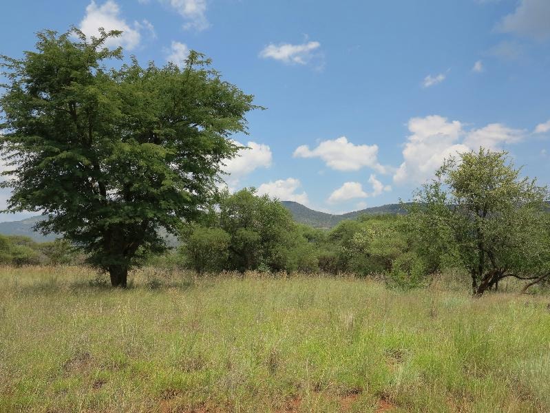 Residential vacant land for sale in Thabazimbi - 1ER1134641