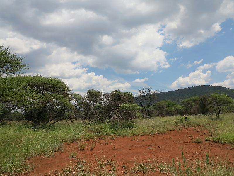 Residential vacant land for sale in Thabazimbi - 1ER1134640