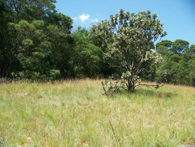 Farm vacant land for sale in Kamberg - 1PM1138071 Farm vacant land for sale in Kamberg - 1PM1138071