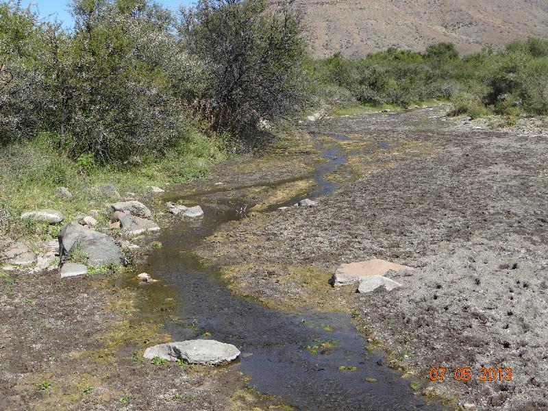 Game farm for sale in Beaufort West - 1KK413022