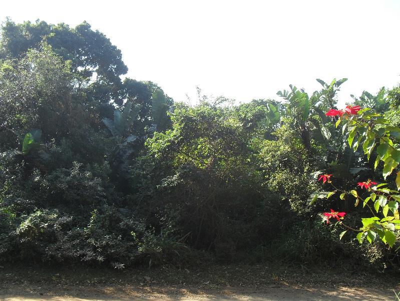 Vacant land for sale in Leisure Bay - 1PD1142108