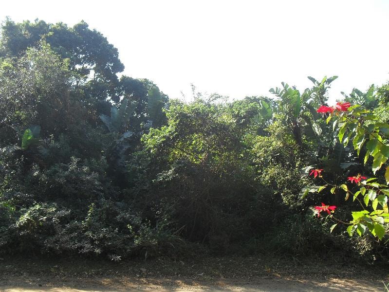 Vacant land for sale in Leisure Bay - 1PD1142108 Vacant land for sale in Leisure Bay - 1PD1142108