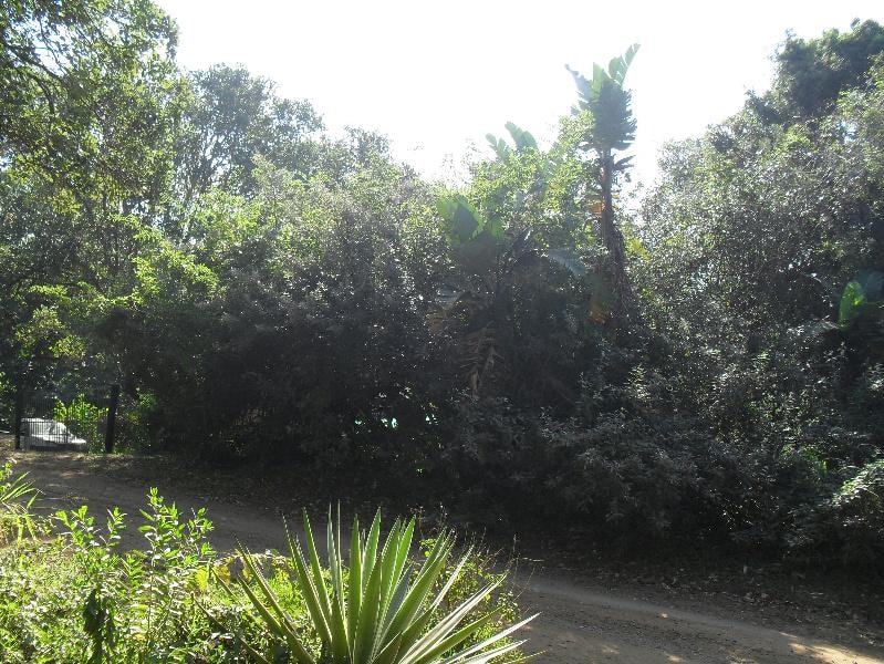 Vacant land for sale in Leisure Bay - 1PD1142108 Vacant land for sale in Leisure Bay - 1PD1142108