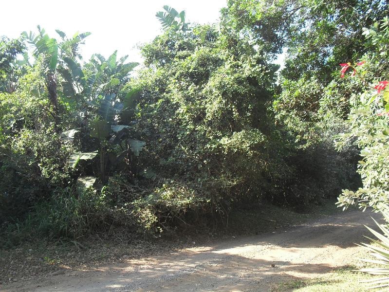 Vacant land for sale in Leisure Bay - 1PD1142108 Vacant land for sale in Leisure Bay - 1PD1142108