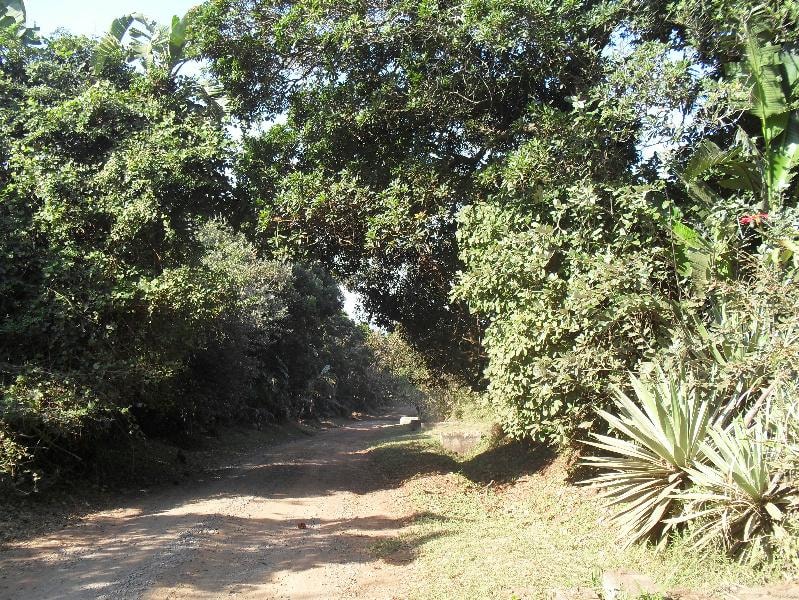 Vacant land for sale in Leisure Bay - 1PD1142108 Vacant land for sale in Leisure Bay - 1PD1142108