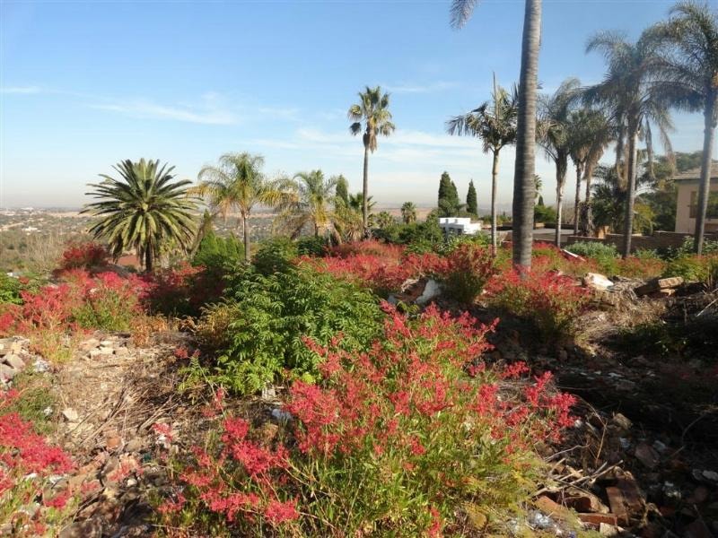Vacant land for sale in Waterkloof Ridge - PT1402940 Vacant land for sale in Waterkloof Ridge - PT1402940