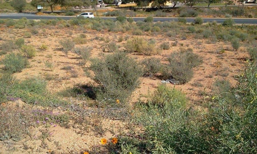 Vacant land for sale in Springbok Central - 1NA1716159