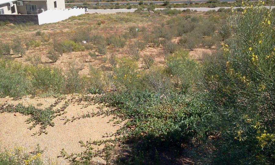 Vacant land for sale in Springbok - 1NA1146656