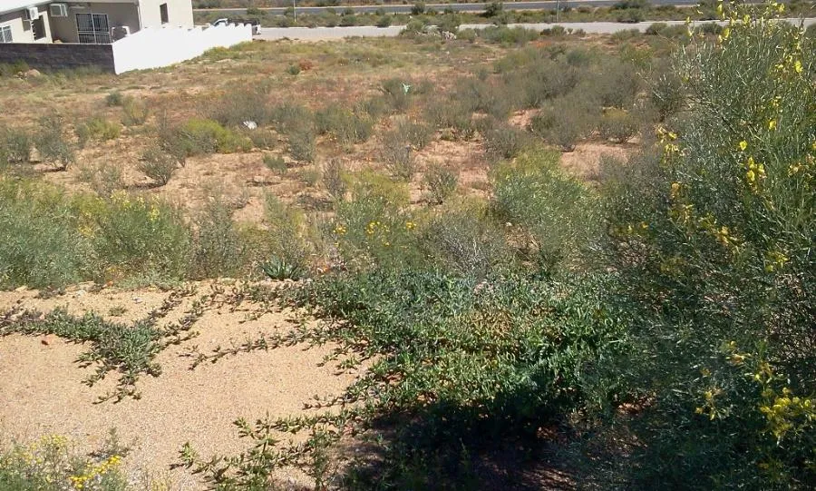 Vacant land sold in Springbok - 1NA1146656 Vacant land sold in Springbok - 1NA1146656
