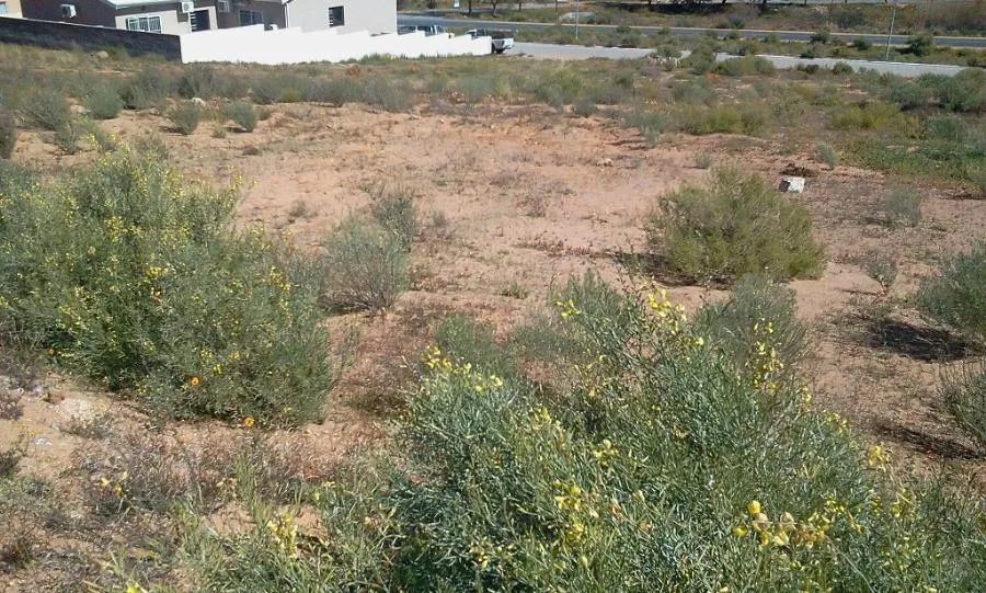 Vacant land sold in Springbok - 1NA1146656 Vacant land sold in Springbok - 1NA1146656