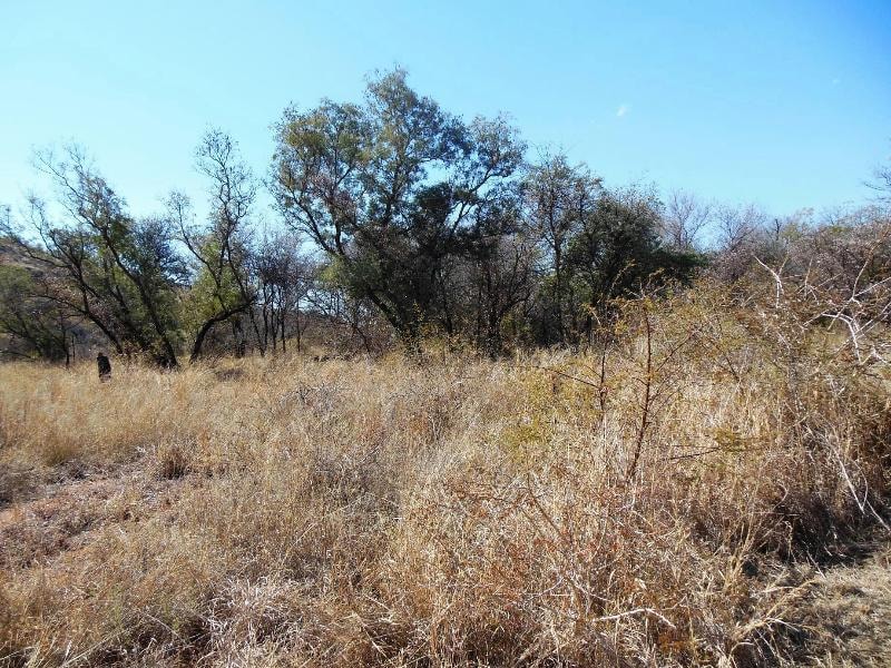 Residential vacant land for sale in Thabazimbi - 1ER1147332