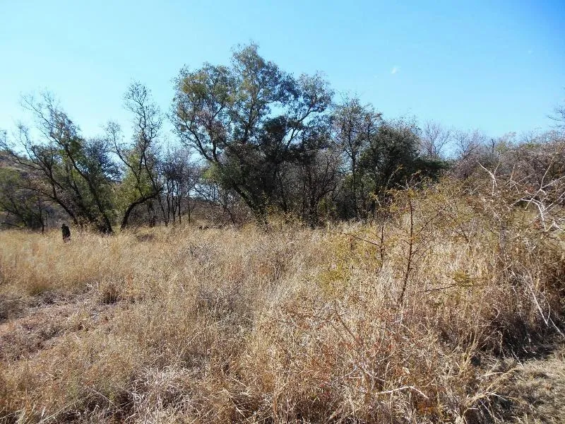 Residential vacant land for sale in Thabazimbi - 1ER1147332 Residential vacant land for sale in Thabazimbi - 1ER1147332