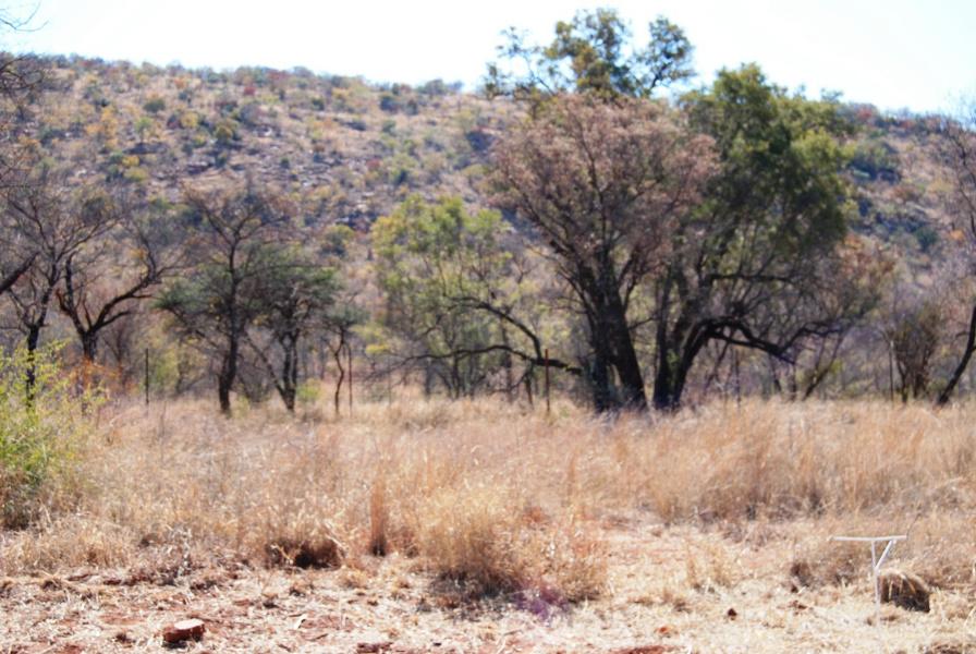 Residential vacant land for sale in Thabazimbi - 1ER1147335