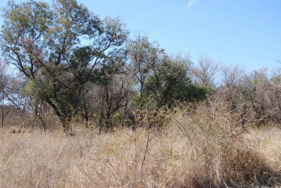 Residential vacant land for sale in Thabazimbi - 1ER1147335