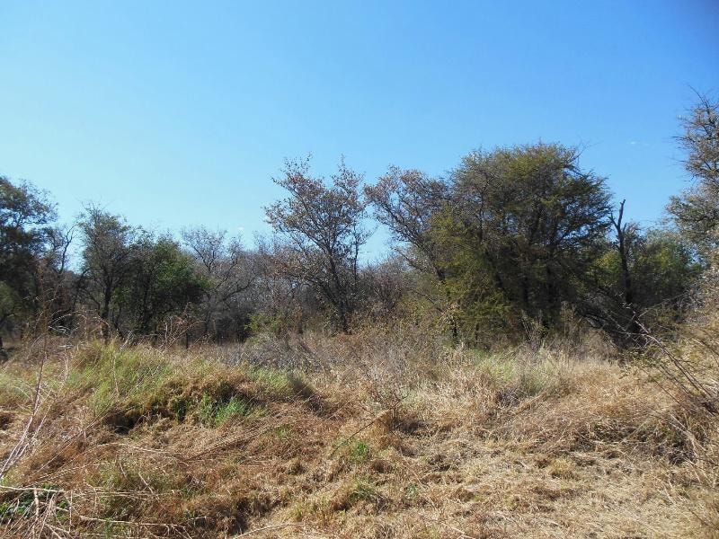 Residential vacant land for sale in Thabazimbi - 1ER1147335