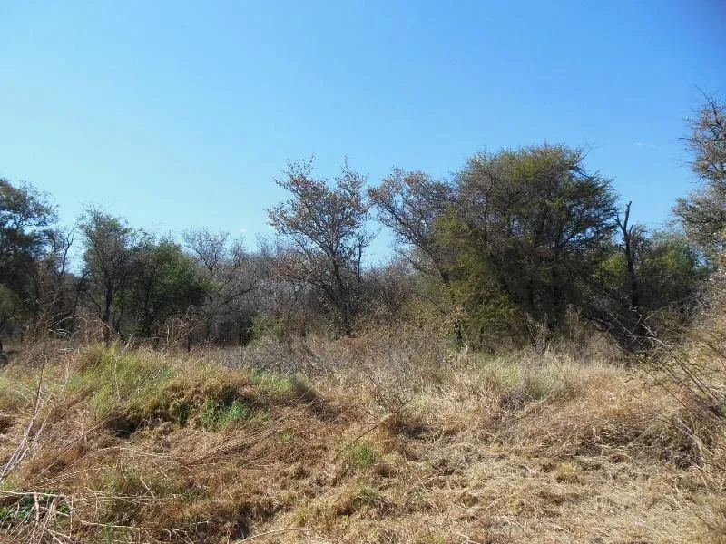 Residential vacant land for sale in Thabazimbi - 1ER1147335 Residential vacant land for sale in Thabazimbi - 1ER1147335