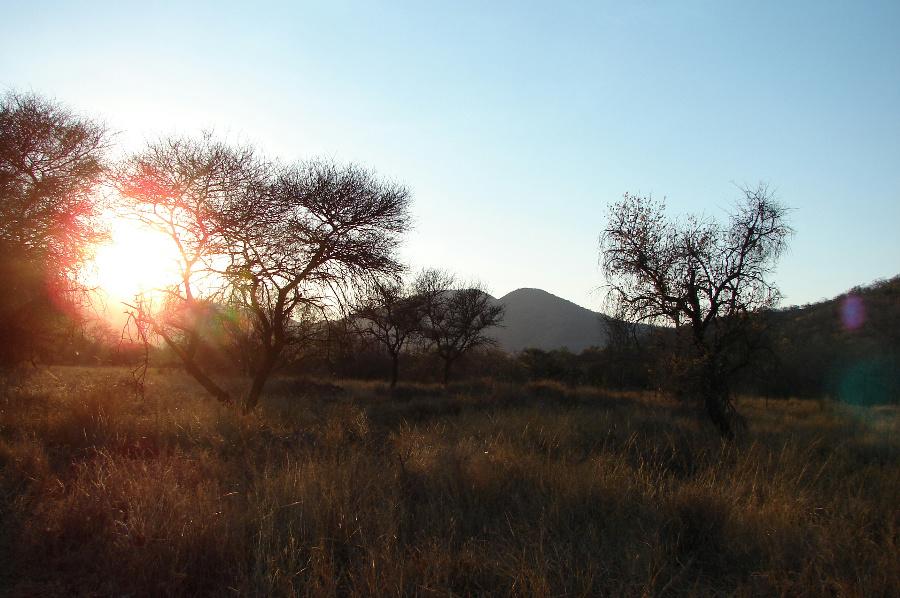 Residential vacant land for sale in Thabazimbi - 1ER1134641