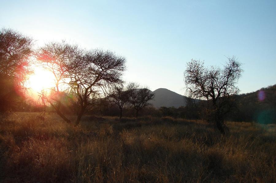 Residential vacant land for sale in Thabazimbi - 1ER1134641