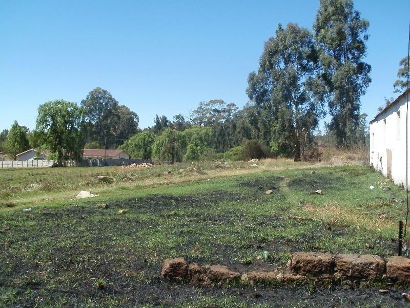 Commercial business for sale in Belfast - 1DS1468544