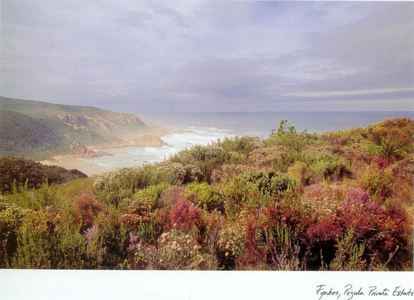 Vacant land for sale in Pezula Private Estate - 1KC1156369