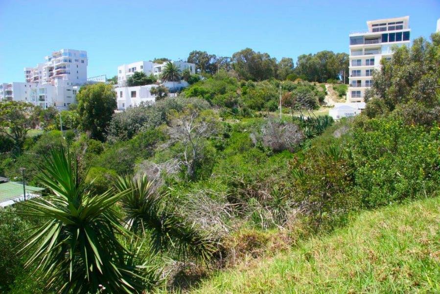 Residential vacant land for sale in Summerstrand - 1PLZ1157179