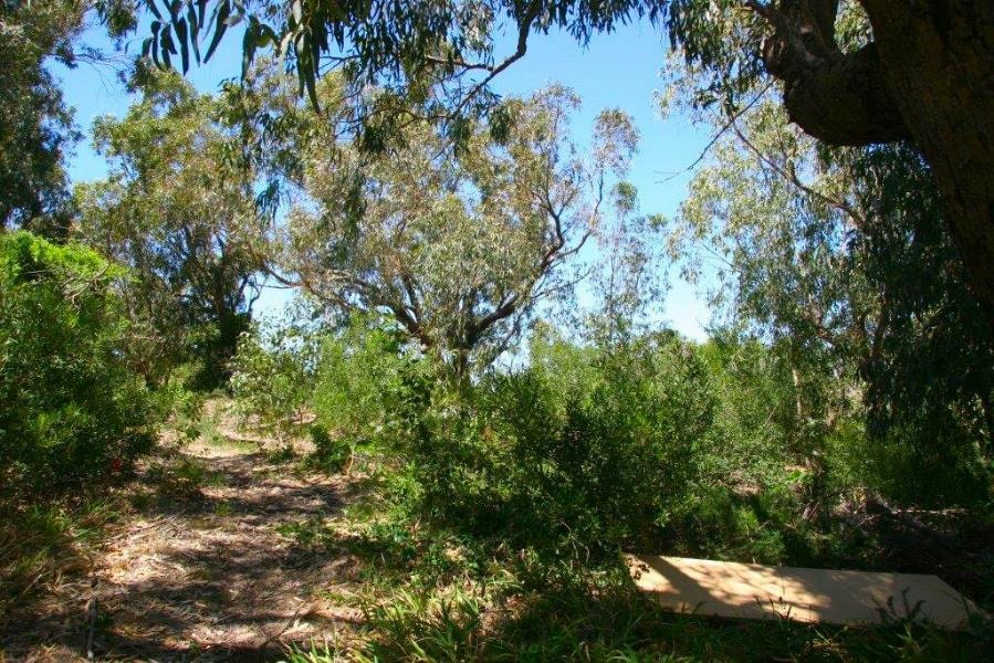 Residential vacant land for sale in Summerstrand - 1PLZ1157179