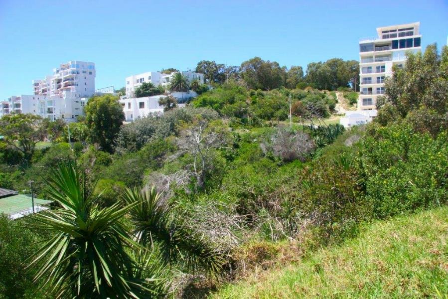 Residential vacant land for sale in Summerstrand - 1PLZ1157185