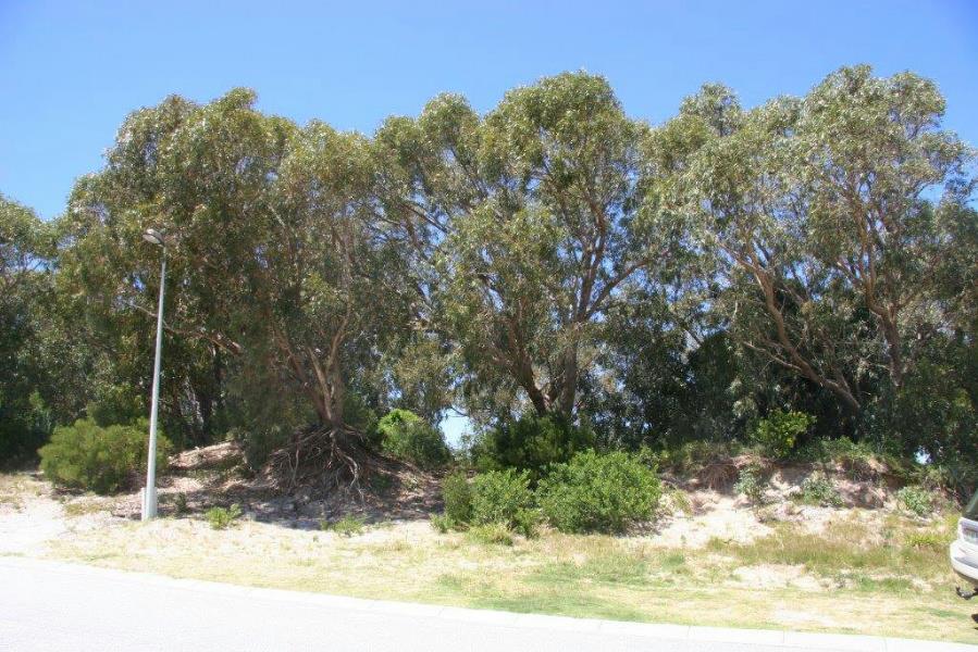 Residential vacant land for sale in Summerstrand - 1PLZ1157185