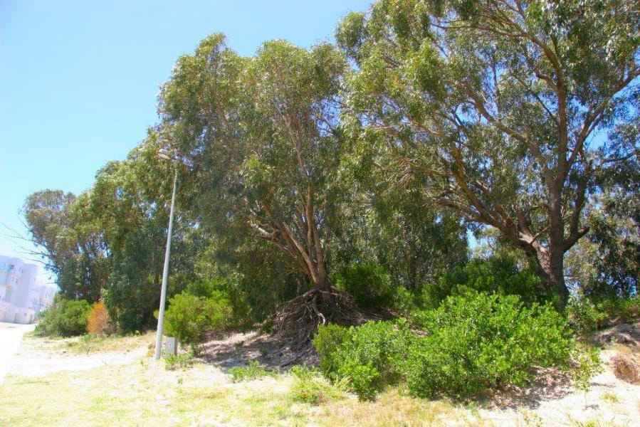 Residential vacant land for sale in Summerstrand - 1PLZ1157185