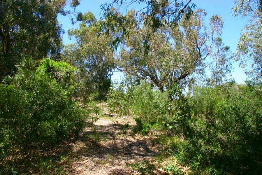 Residential vacant land for sale in Summerstrand - 1PLZ1157205