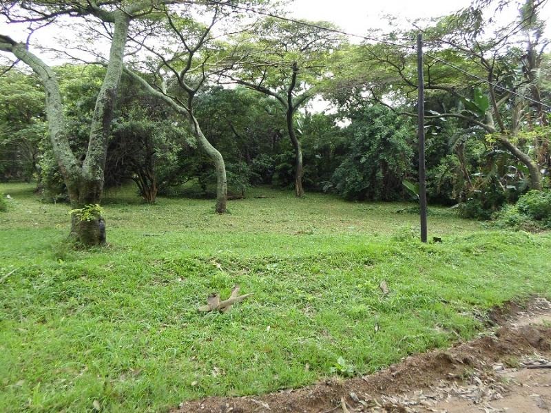 Residential vacant land sold in Park Rynie - 1si1335288 Residential vacant land sold in Park Rynie - 1si1335288