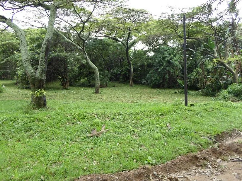 Commercial industrial property for sale in Park Rynie - 1si1740297 Commercial industrial property for sale in Park Rynie - 1si1740297