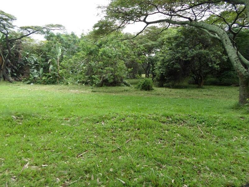 Residential vacant land sold in Park Rynie - 1si1335288 Residential vacant land sold in Park Rynie - 1si1335288