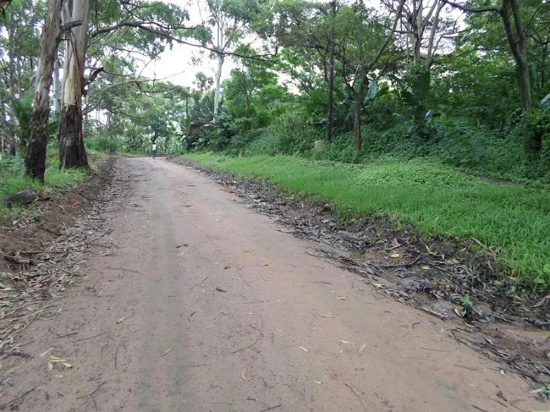 Commercial industrial property for sale in Park Rynie - 1si1740297 Commercial industrial property for sale in Park Rynie - 1si1740297