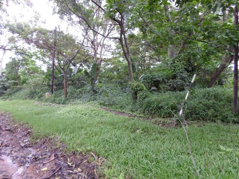 Residential vacant land sold in Park Rynie - 1si1335288 Residential vacant land sold in Park Rynie - 1si1335288