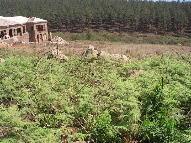 Residential vacant land for sale in Sabie - 1LY1162925