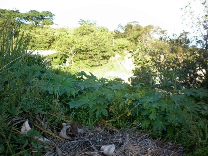 Residential vacant land for sale in Umzinto - 1si1168012