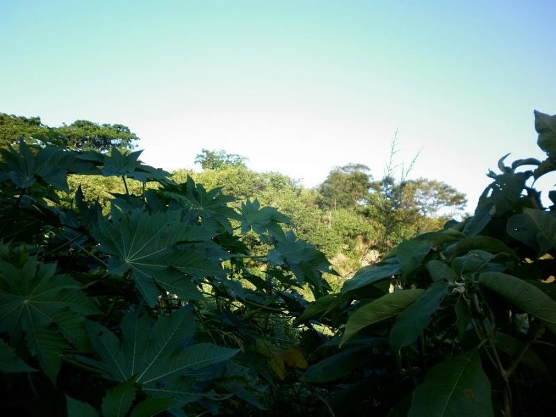 Residential vacant land for sale in Umzinto - 1si1168012