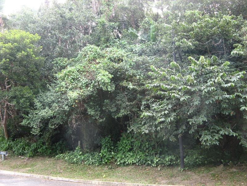 Residential vacant land for sale in Ramsgate - 1PD1531656 Residential vacant land for sale in Ramsgate - 1PD1531656