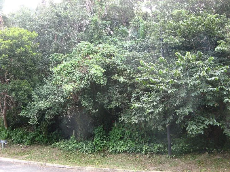 Residential vacant land for sale in Ramsgate - 1PD1531656 Residential vacant land for sale in Ramsgate - 1PD1531656