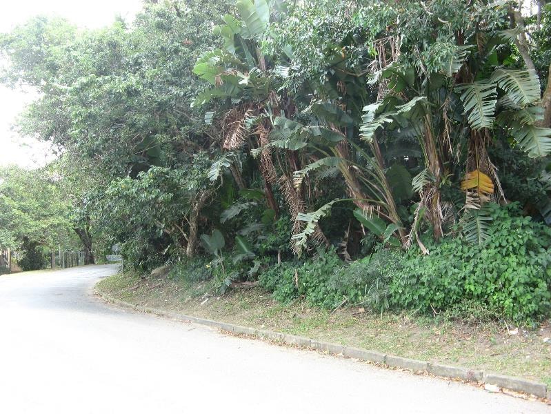 Residential vacant land for sale in Ramsgate - 1PD1531656 Residential vacant land for sale in Ramsgate - 1PD1531656