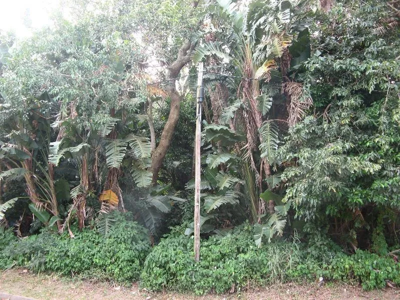 Residential vacant land for sale in Ramsgate - 1PD1531656 Residential vacant land for sale in Ramsgate - 1PD1531656