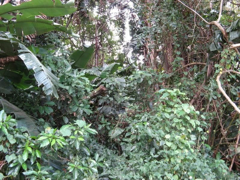 Residential vacant land for sale in Ramsgate - 1PD1531656 Residential vacant land for sale in Ramsgate - 1PD1531656