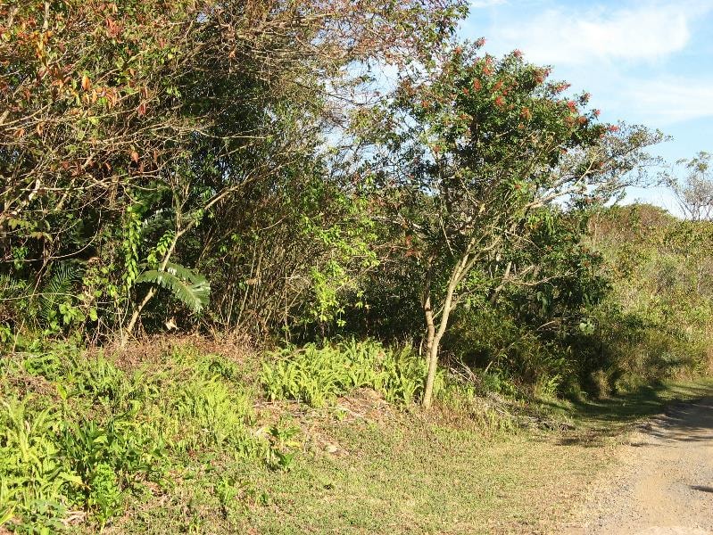 Vacant land for sale in Southbroom - 1PD1531486