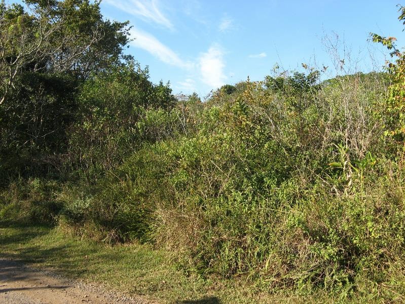 Vacant land for sale in Southbroom - 1PD1531486