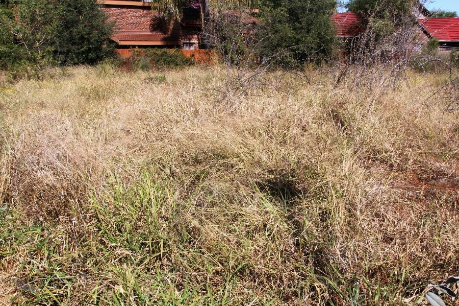 Residential vacant land for sale in Ellisras (Lephalale) - 1ER1179349 Residential vacant land for sale in Ellisras (Lephalale) - 1ER1179349