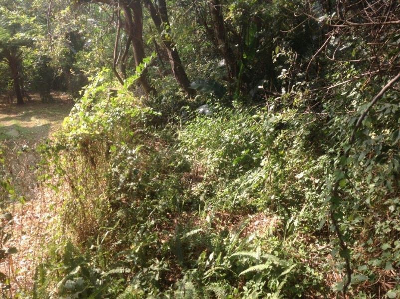 Vacant land for sale in Leisure Bay - 1PD1142108 Vacant land for sale in Leisure Bay - 1PD1142108